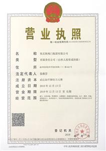 營業(yè)執(zhí)照-正本（埃尼斯閥門集團(tuán)有限公司）